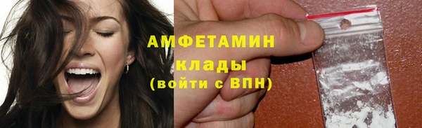 молекула духа Алексеевка